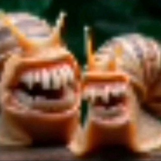 Telegram profile photo for Щп Хлорки