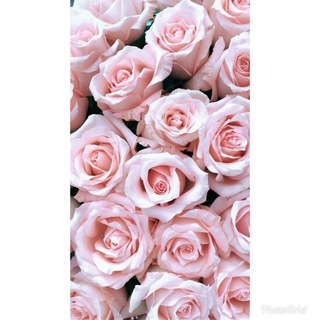 Telegram profile photo for Wallpaper🌸
