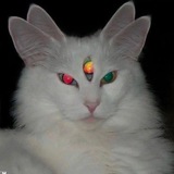 Telegram profile photo for Межгалактический холодец