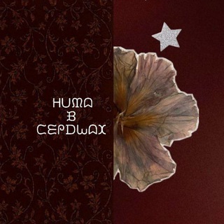 Telegram profile photo for NITA в сердцах