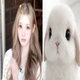Telegram profile photo for yutokki..♡