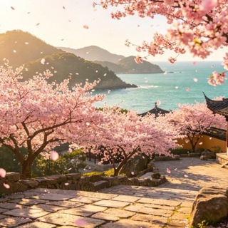 Telegram profile photo for 厦门桃花岛交流群
