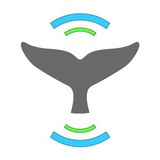 Telegram profile photo for Whale alert 2.0