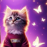 Telegram profile photo for CBR