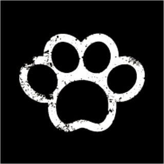 Telegram profile photo for Работа эскорт Москва