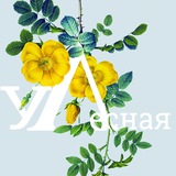 Telegram profile photo for Улица Лесная