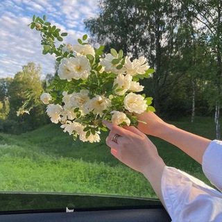 Telegram profile photo for All your thoughts here.