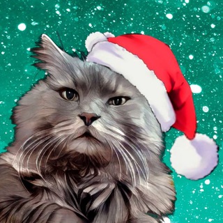 Telegram profile photo for Старый Новый Кот