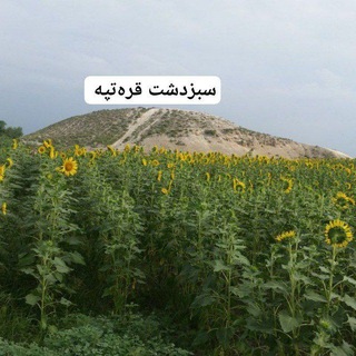 Telegram profile photo for کانال قره تپه.صفرحاجی.پیخی شیخ