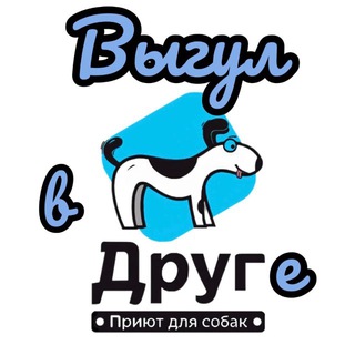 Telegram profile photo for Запись на субботний выгул