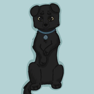 Telegram profile photo for ::Чëрный хв𑄝стик🤍