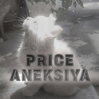 Telegram profile photo for PRICE ANEKSIYA🐭