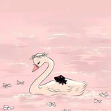 Telegram profile photo for بَاتمـَـانَه
