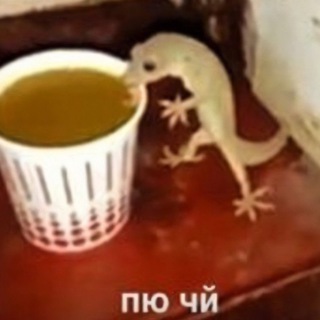 Telegram profile photo for кофейня у Агнии>>>