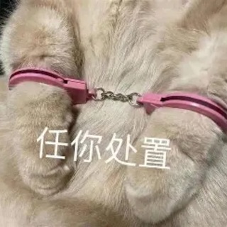 Telegram profile photo for 表情包 |gif贴纸|斗图