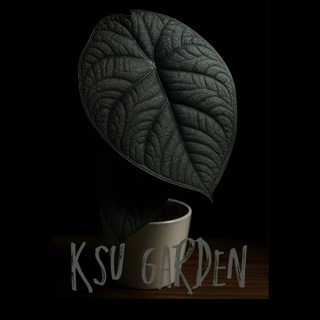 Telegram profile photo for Ksu Garden