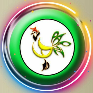 Telegram profile photo for 🇮🇷زیباپرنده 🇮🇷 بهترین مرکز آموزشی پرندگان زینتی تهران