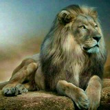 Telegram profile photo for ℋᎯⅆⅈᏕⅇ ℰͲℰℋᎯⅆⅈ