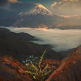 Telegram profile photo for زیست بوم و طبیعت ناشناخته کوهها وجنگل های ایران
