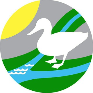 Telegram profile photo for Ельцовка — Первая! Новосибирск