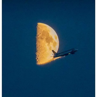 Telegram profile photo for Aviation projects and news
