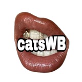 Telegram profile photo for 𝒸𝒶𝓉𝓈𝒲𝐵/catswb