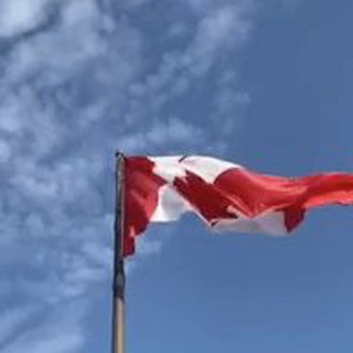 Telegram profile photo for DriveCanada