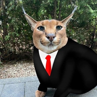 Telegram profile photo for бегу в канаду пешкодралом