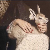 Telegram profile photo for الفَــ🦌ـلا "
