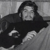Telegram profile photo for چاواشیزم