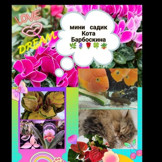 Telegram profile photo for Мини ☘садик Кота Барбоскина🪴