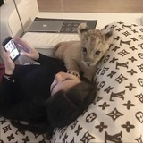 Telegram profile photo for ʜᴇᴀʀᴛ ᴠᴇʀᴤᴇ"