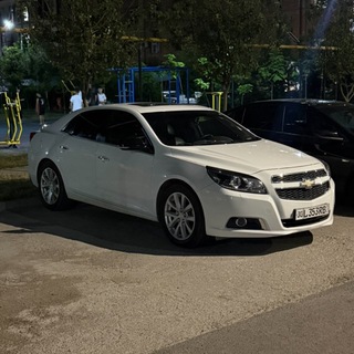 Telegram profile photo for Karimov aura