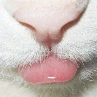 Telegram profile photo for ๐๐๐๐๐๐๐