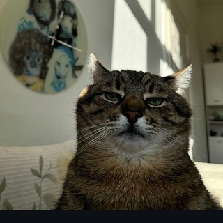 Telegram profile photo for Гроза Молний 🌩