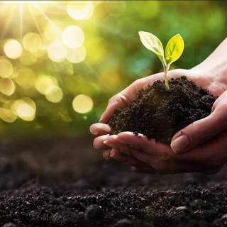 Telegram profile photo for 🌿 Fulvic Detox & Holistic Health 🌿