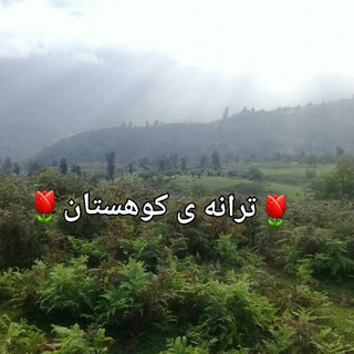 Telegram profile photo for 🌺ترانه های کوهستان🌺