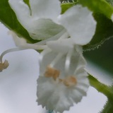 Telegram profile photo for Die Welt der Heilpflanzen