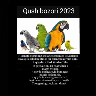 Telegram profile photo for QUSH BOZORI