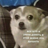 Telegram profile photo for Спам