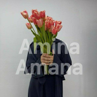 Telegram profile photo for Amina_Amana