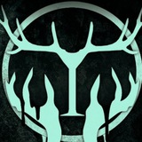 Telegram profile photo for GFP | Мск | QS