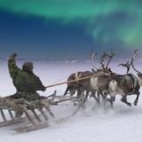Telegram profile photo for НИЖНИЙ бесПРЕДЕЛ