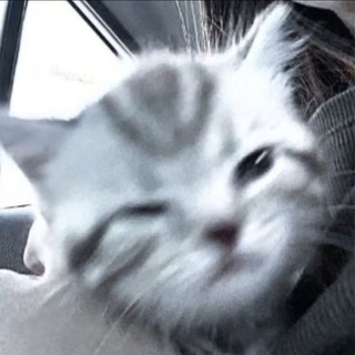 Telegram profile photo for Bbs Аукцион/розыгрыш