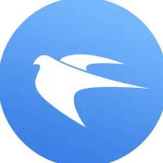 Telegram profile photo for 🥇🥇🥇【官方推荐】🔥🐦⬛️飞鸟加速器VPN官方频道🐦⬛️