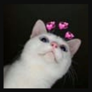 Telegram profile photo for Luv