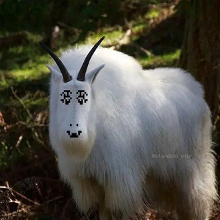 Telegram profile photo for Мурылка Мявки