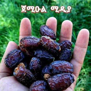Telegram profile photo for ጀሚዑል ሚዲያ