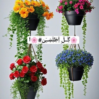 Telegram profile photo for 🌸 گل اَِطَِلَِسَِــَِیَِ🌸