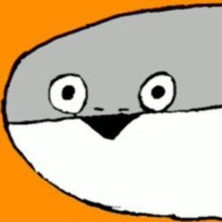 Telegram profile photo for вп ден sacabambaspis cf
